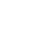 Phehlwana Group Investments logo